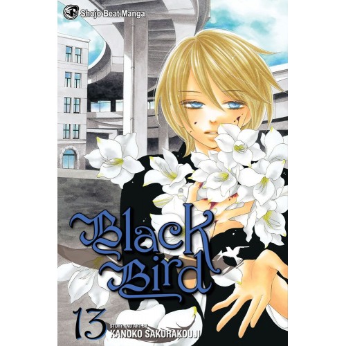 Black Bird Manga Volume 13 Black Bird Manga Volume 13