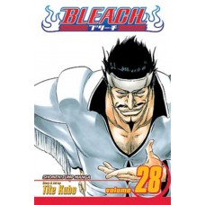 Bleach Manga Volume 28