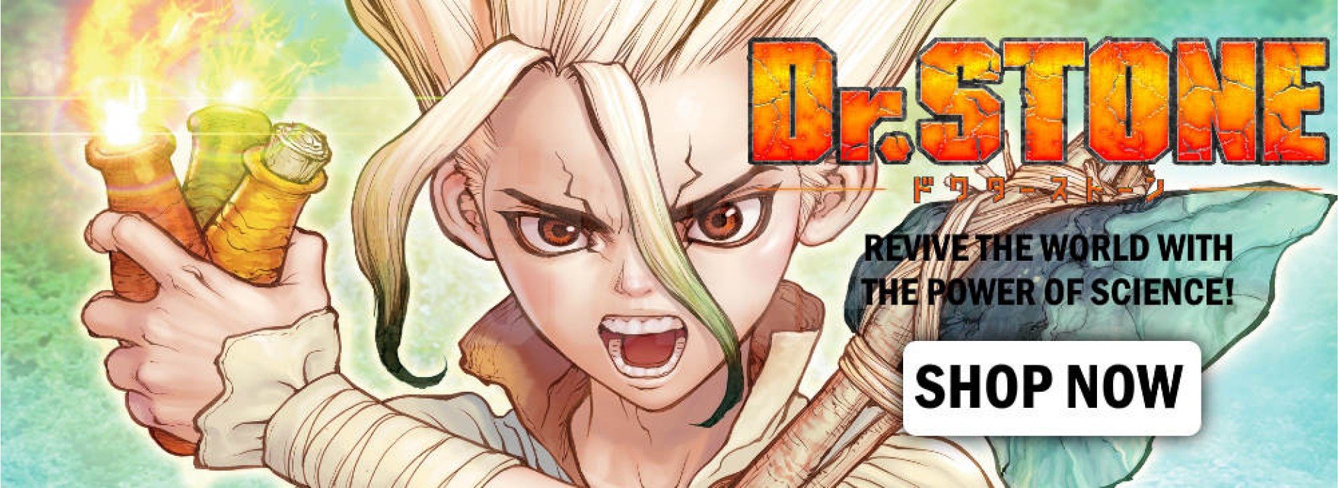 Dr Stone