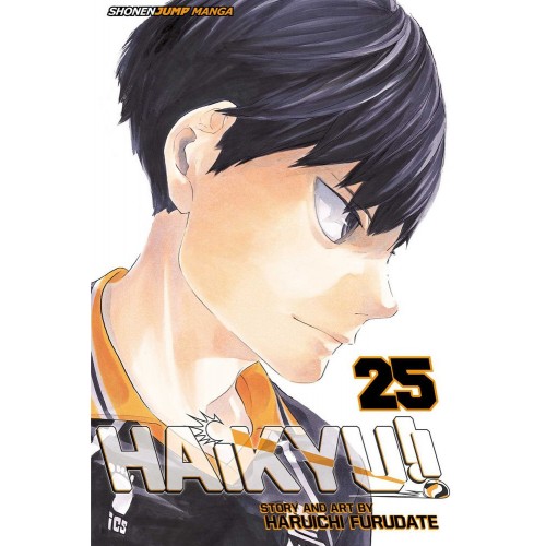 Haikyu!! Manga Volume 25 Haikyu!! Manga Volume 25